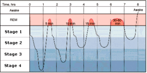 ciclo-do-sono-2